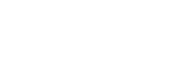 Universiteit Leiden